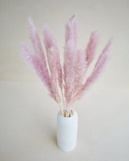 Mini lila pampas