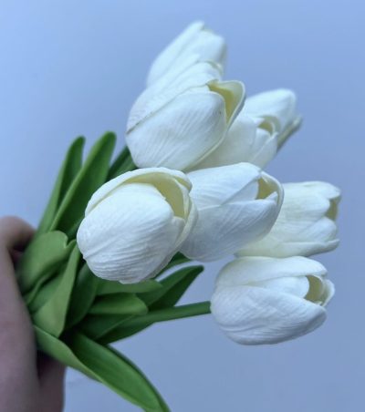 Gumene lale - Slika 2