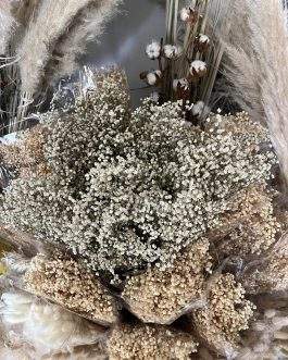 Bela stabilizovana gipsofila sitni cvet