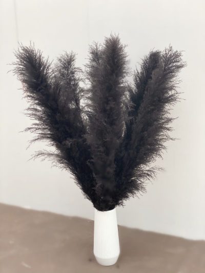 Crni pampas XXL