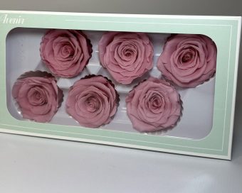 Roze dehidrirane ruže