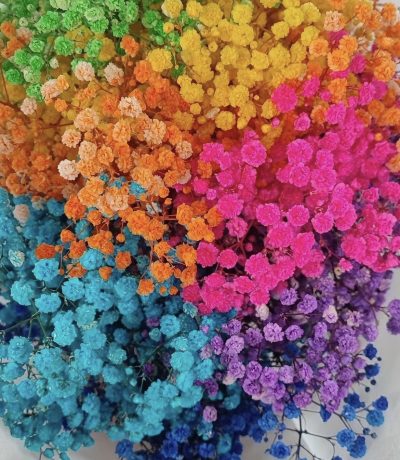 Dehidrirana gipsofila mix manji buket - Slika 2