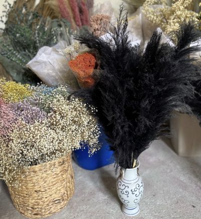 Crni pampas