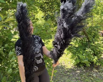 Crni pampas XXL