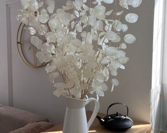 Lunaria-srebrenik