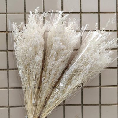 Stabilizovan limonium beli - Slika 3