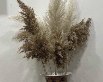 Beli i braon pampas buket
