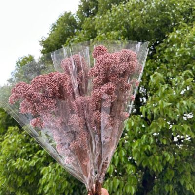 Pirinčani cvet roze - Slika 2