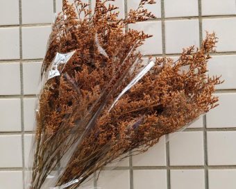 Stabilizovan narandžasti limonium