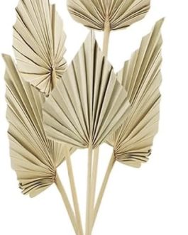 Mini suve palme