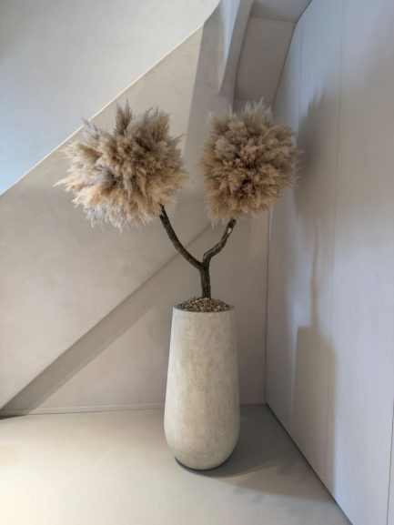 Pampas drvo