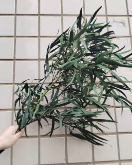 Stabilizovan eukaliptus maslina