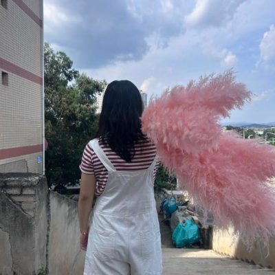 Bebi roze pampas XXL - Slika 3