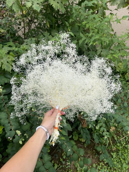 Sterilno bela gipsofila oblak