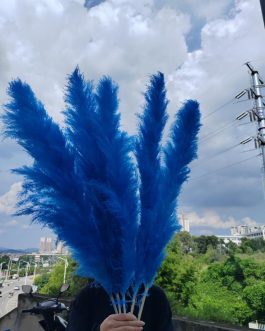 Teget pampas XXL