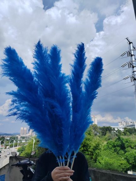 Teget pampas XXL