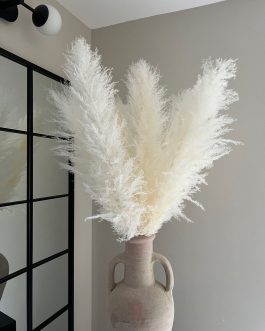 Sterilno beli pampas XXL