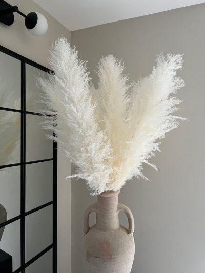 Sterilno beli pampas XXL