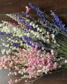 Larkspur
