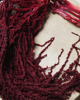 Bordo amarant
