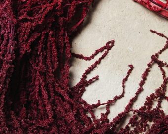 Bordo amarant