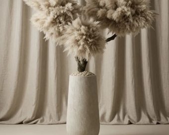 Pampas drvo ARIA