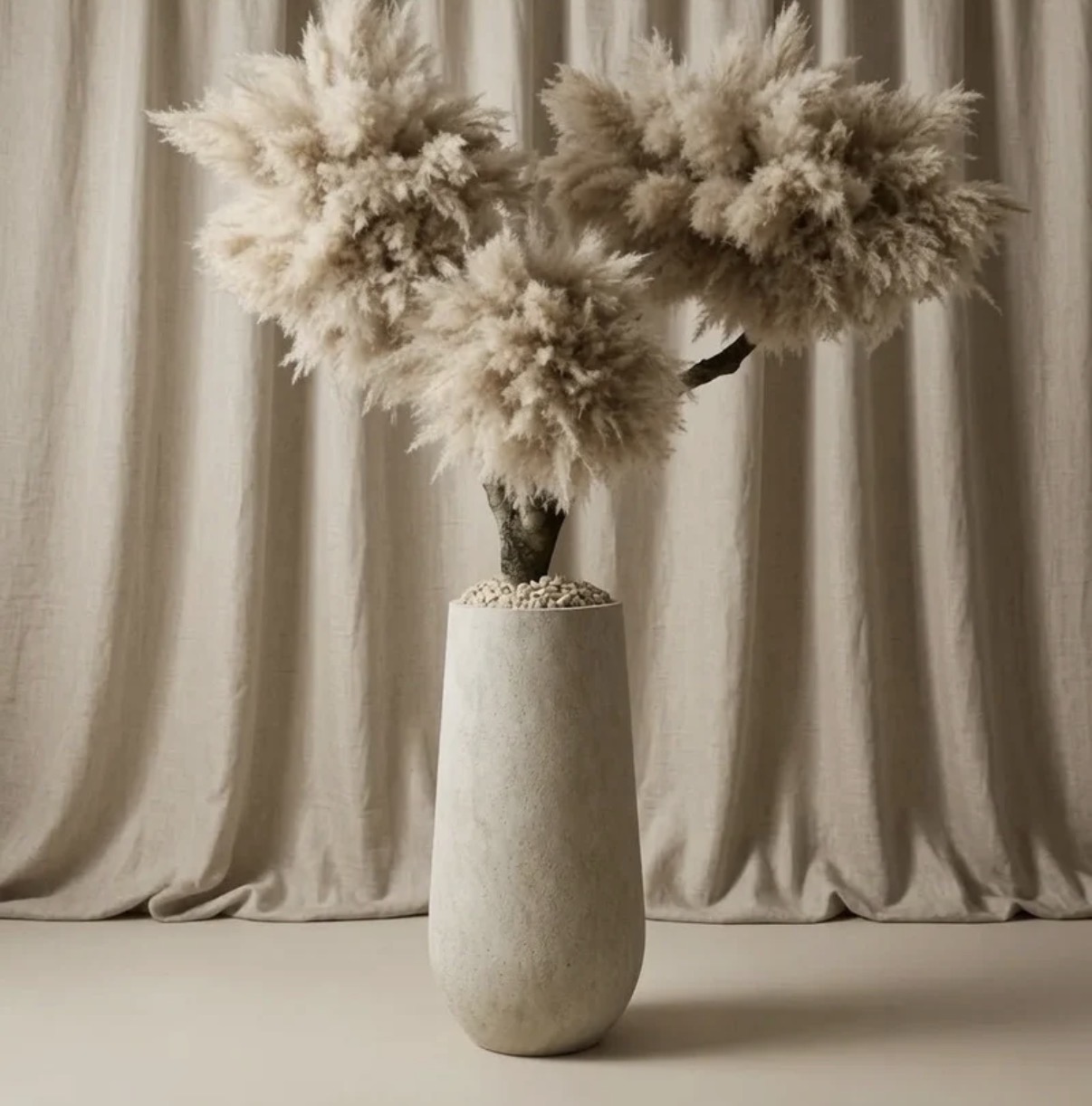 Pampas drvo ARIA