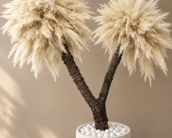 Pampas drvo duo