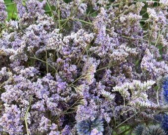 Ljubičasti limonium u dekorativnom cvetnom aranžmanu